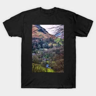 Life in the Valley T-Shirt